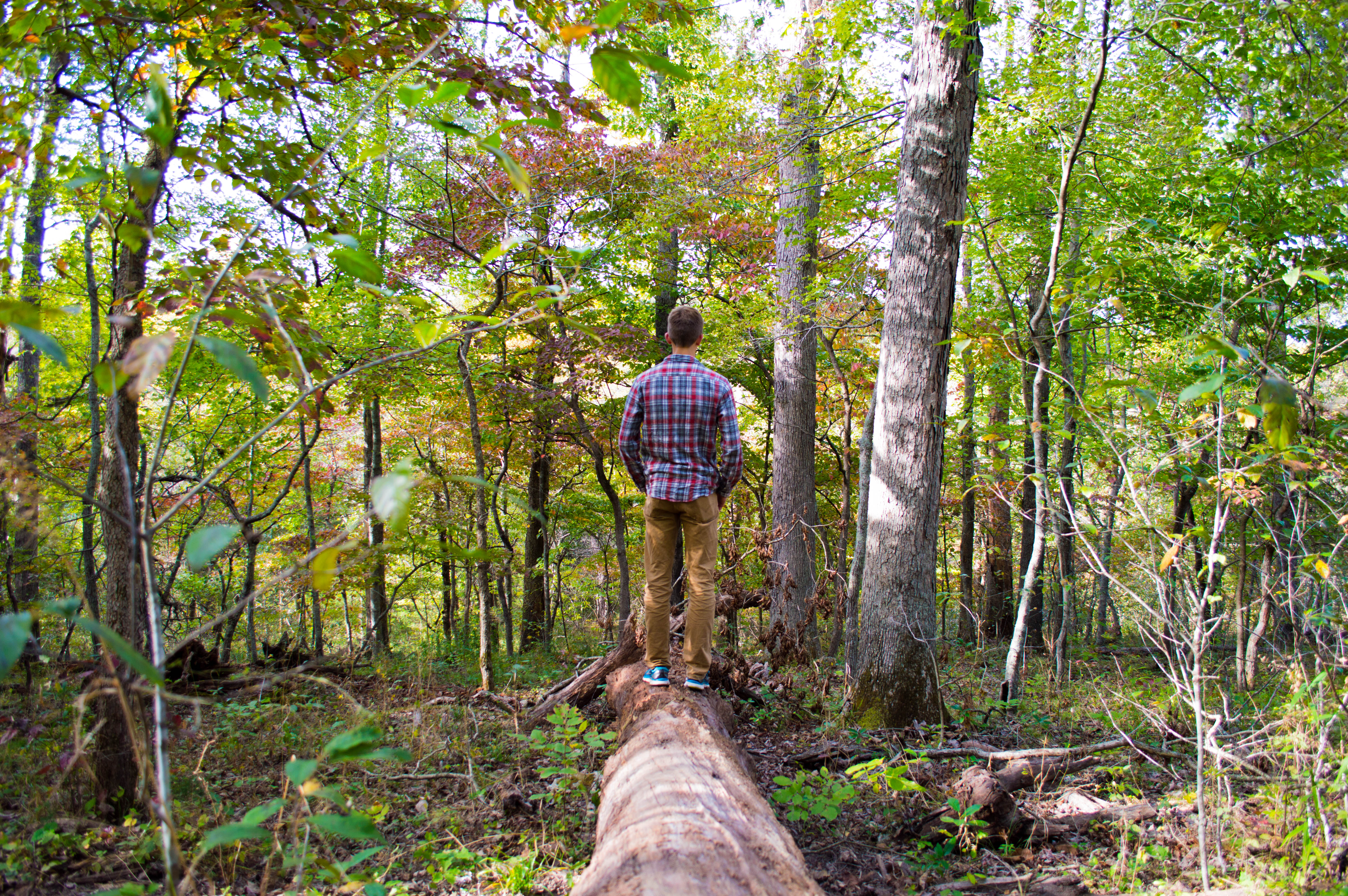 Woodland Trail Loop