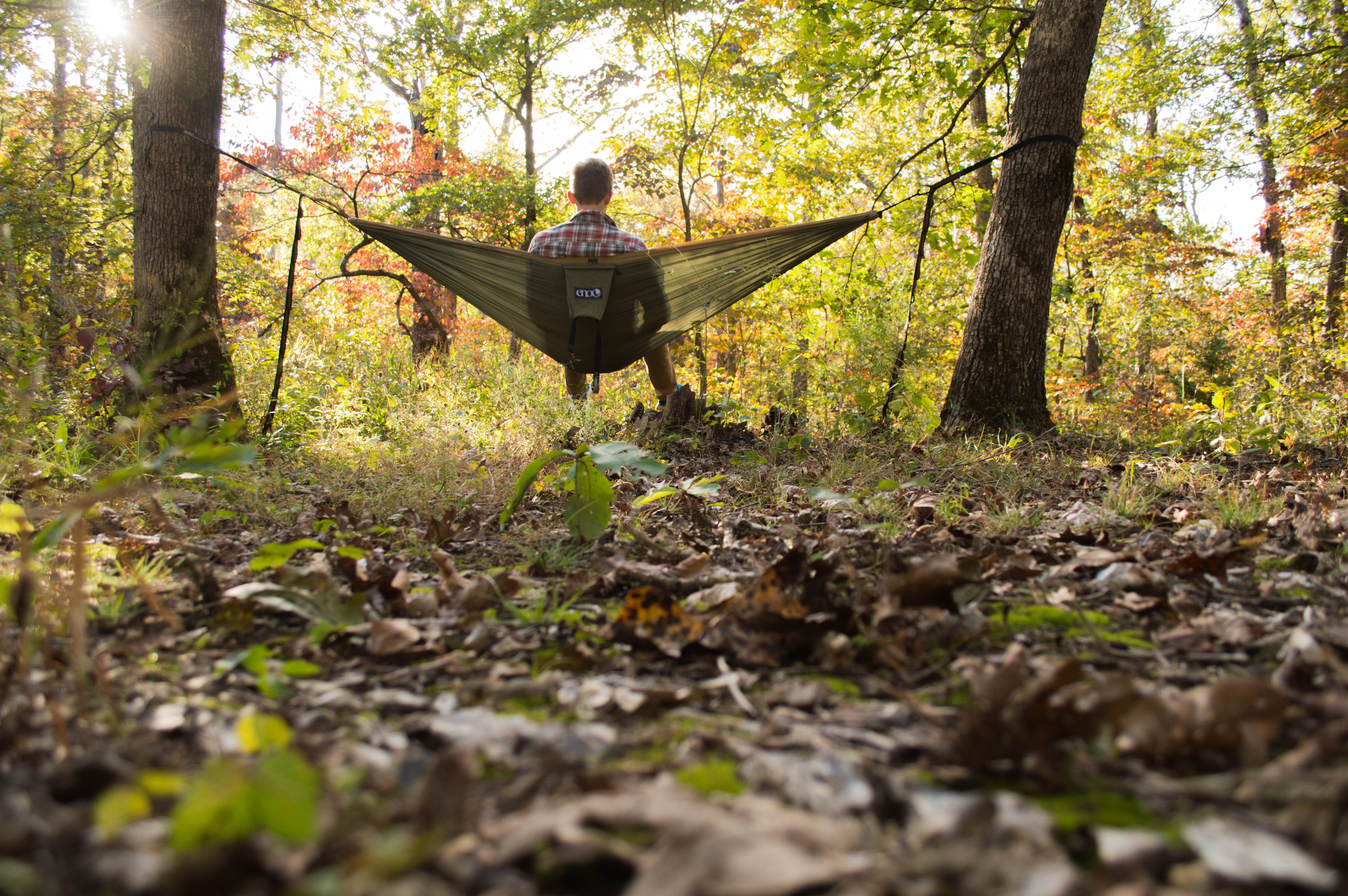 Woodland Trail Loop