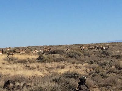 Hart Mountain Antelope Refuge and Hotspring