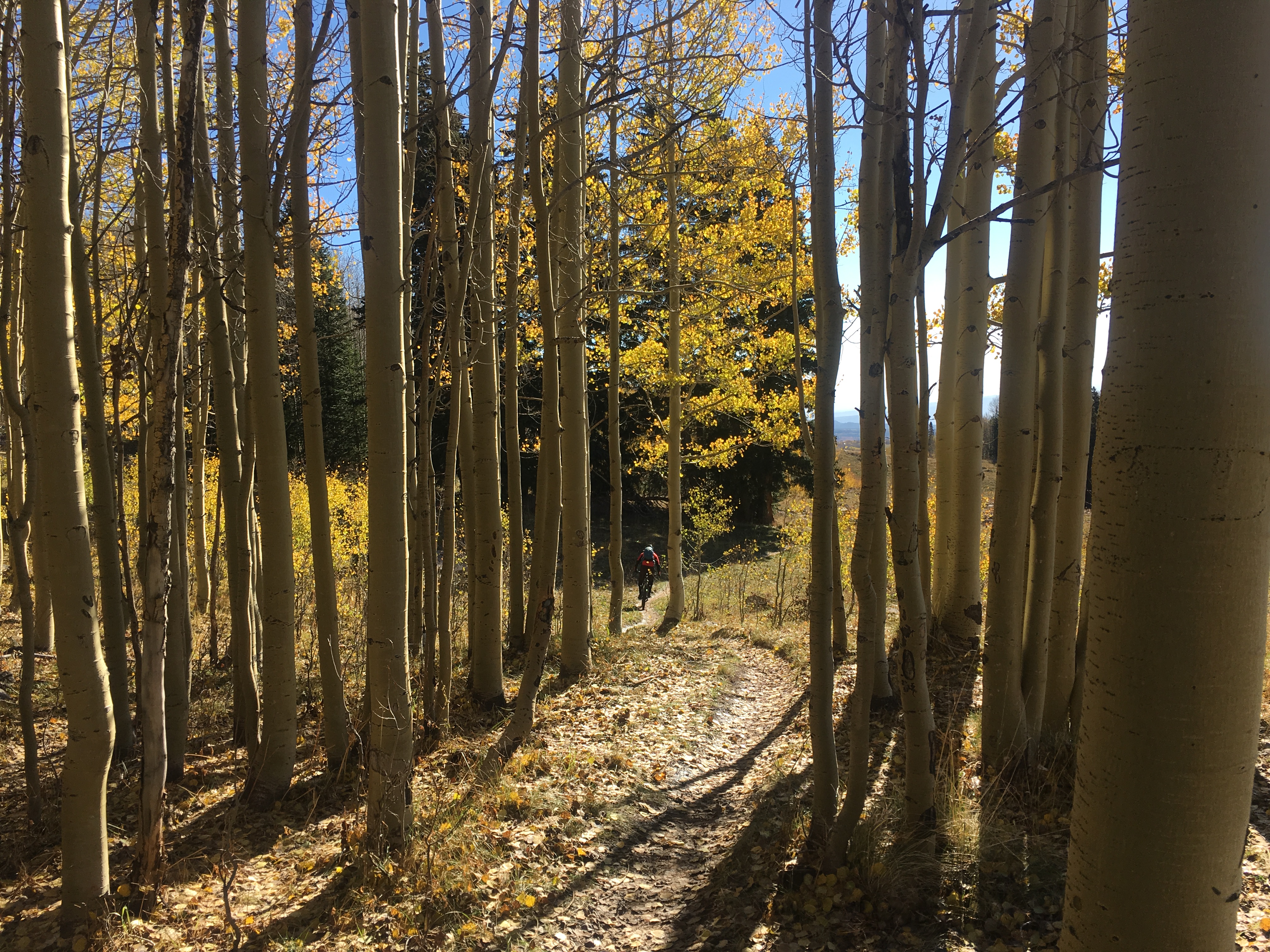 Ride the Whole Enchilada Mountain Bike Trail