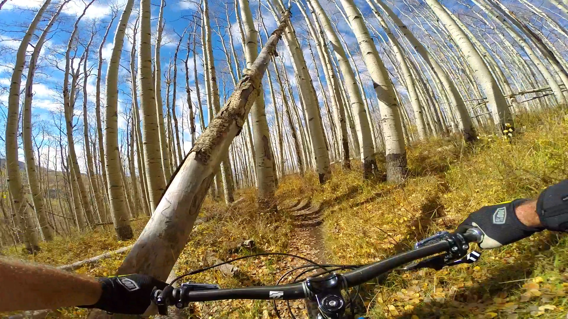 Ride the Whole Enchilada Mountain Bike Trail