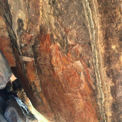 Discover The Ancient Aboriginal Artworks of Ubirr