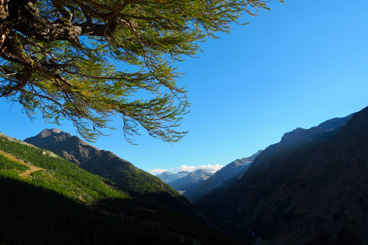 Hike the Almageller Höhenweg