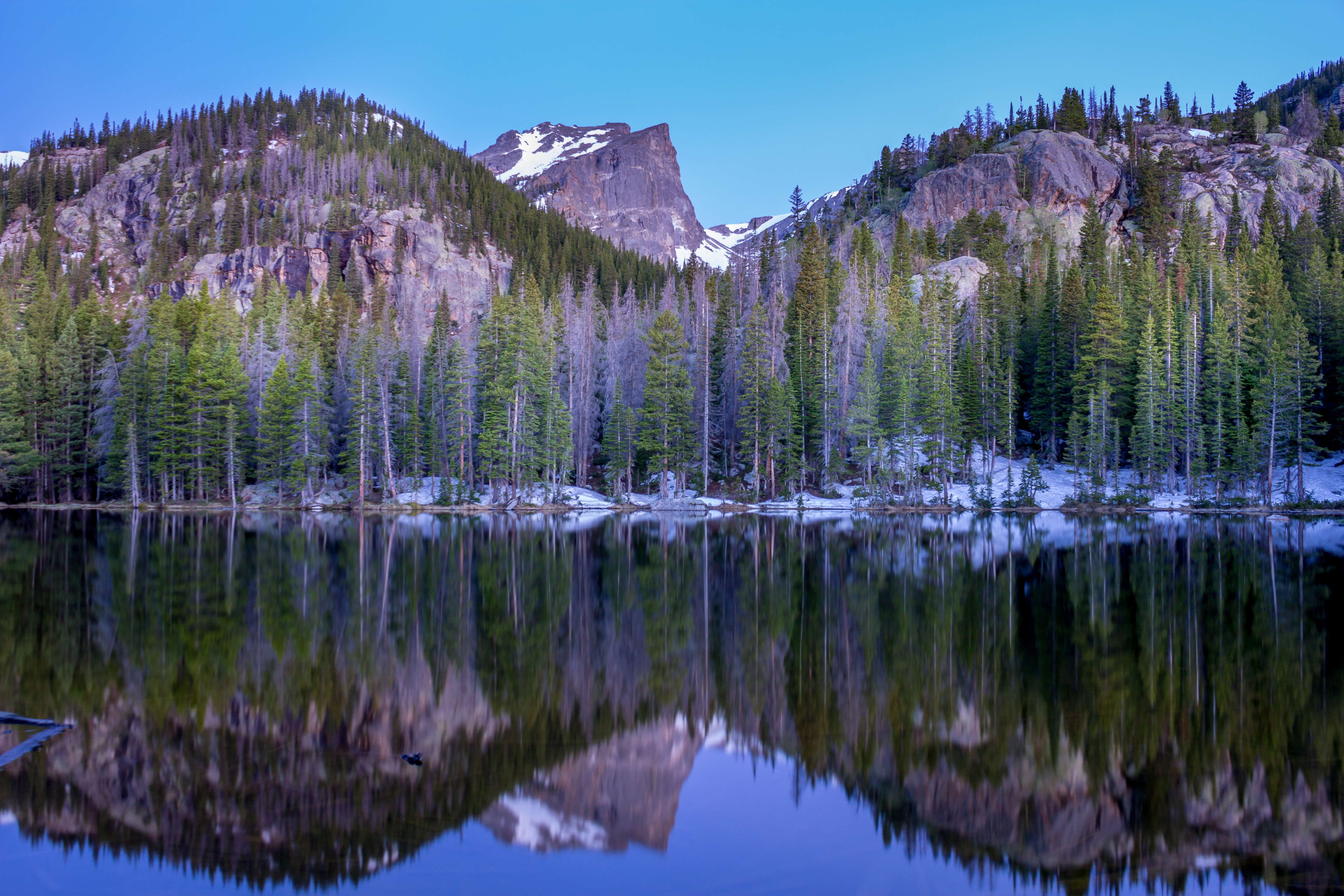 Nymph Lake via Bear Lake Trailhead