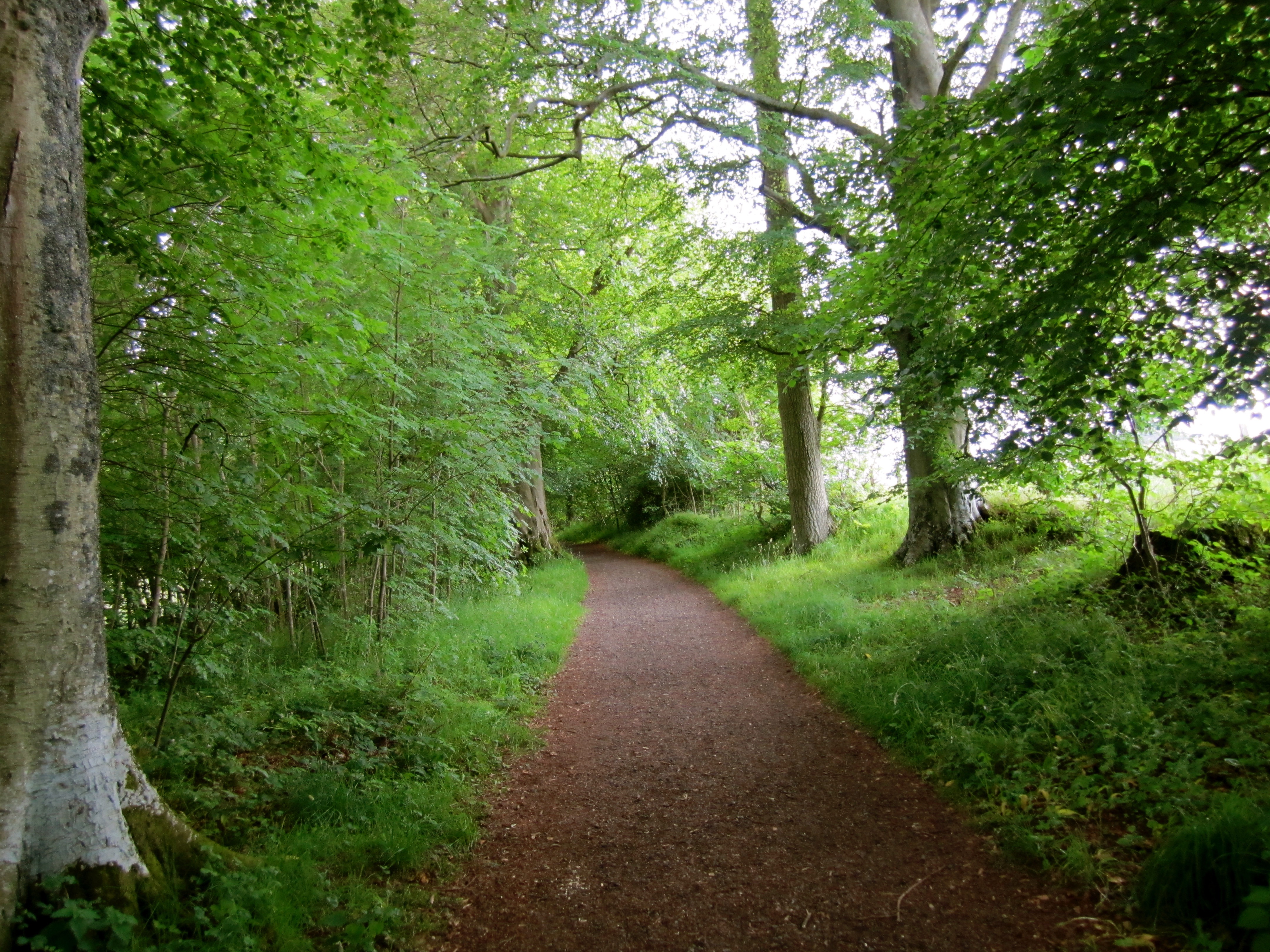 Hike to the William Wallace Statue