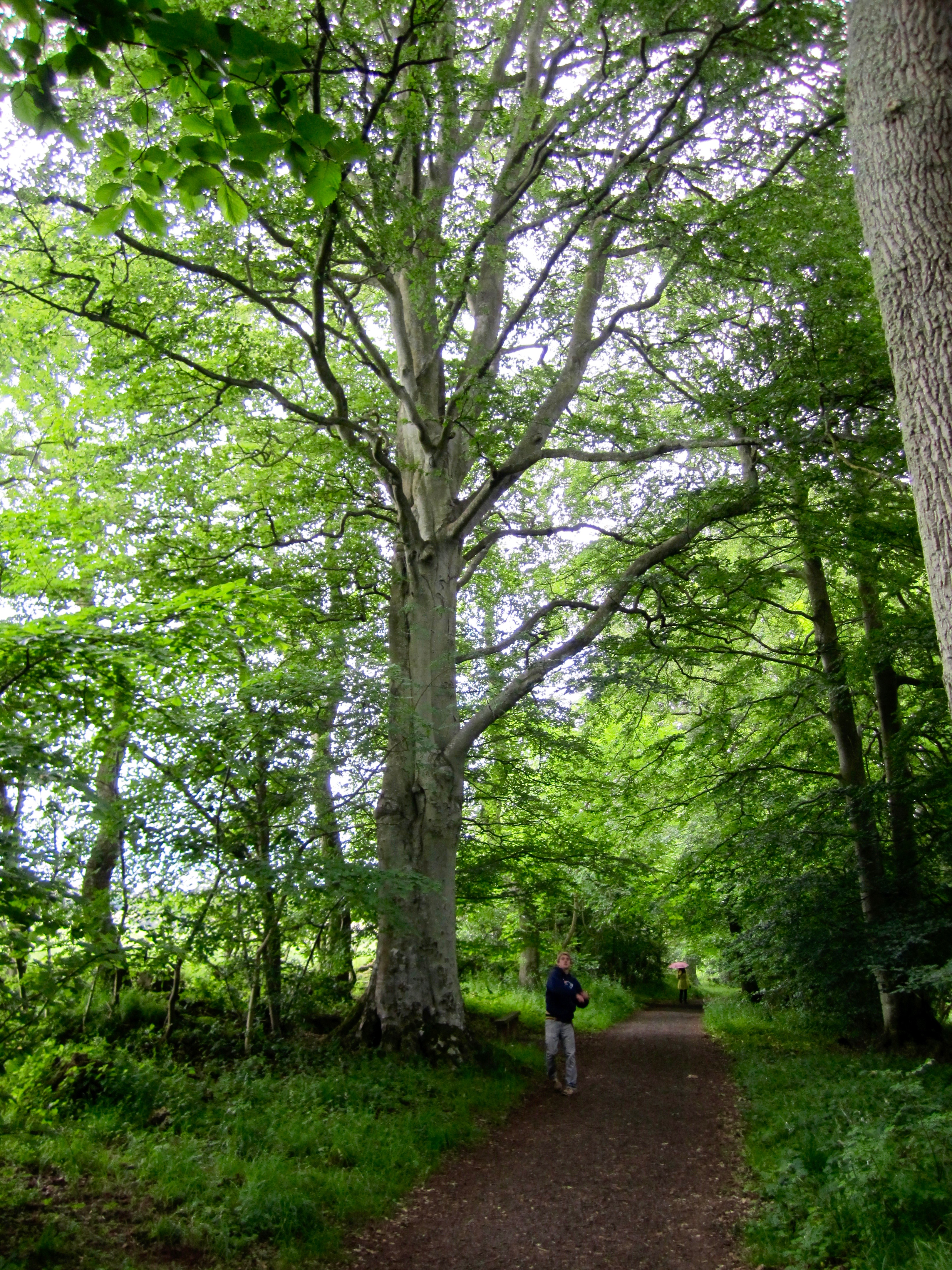 Hike to the William Wallace Statue