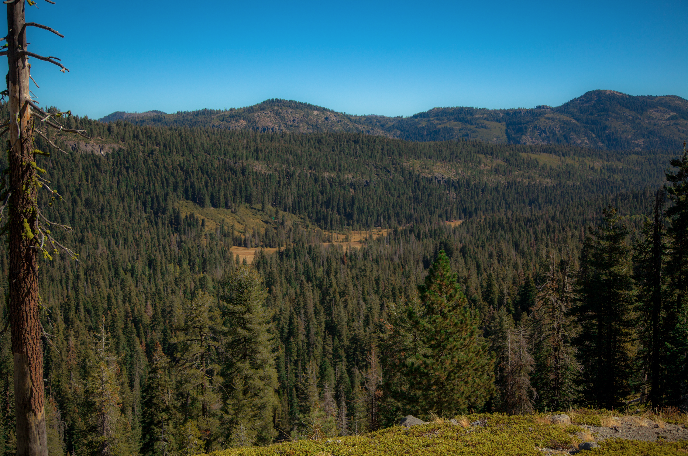 Drake Lake Trail