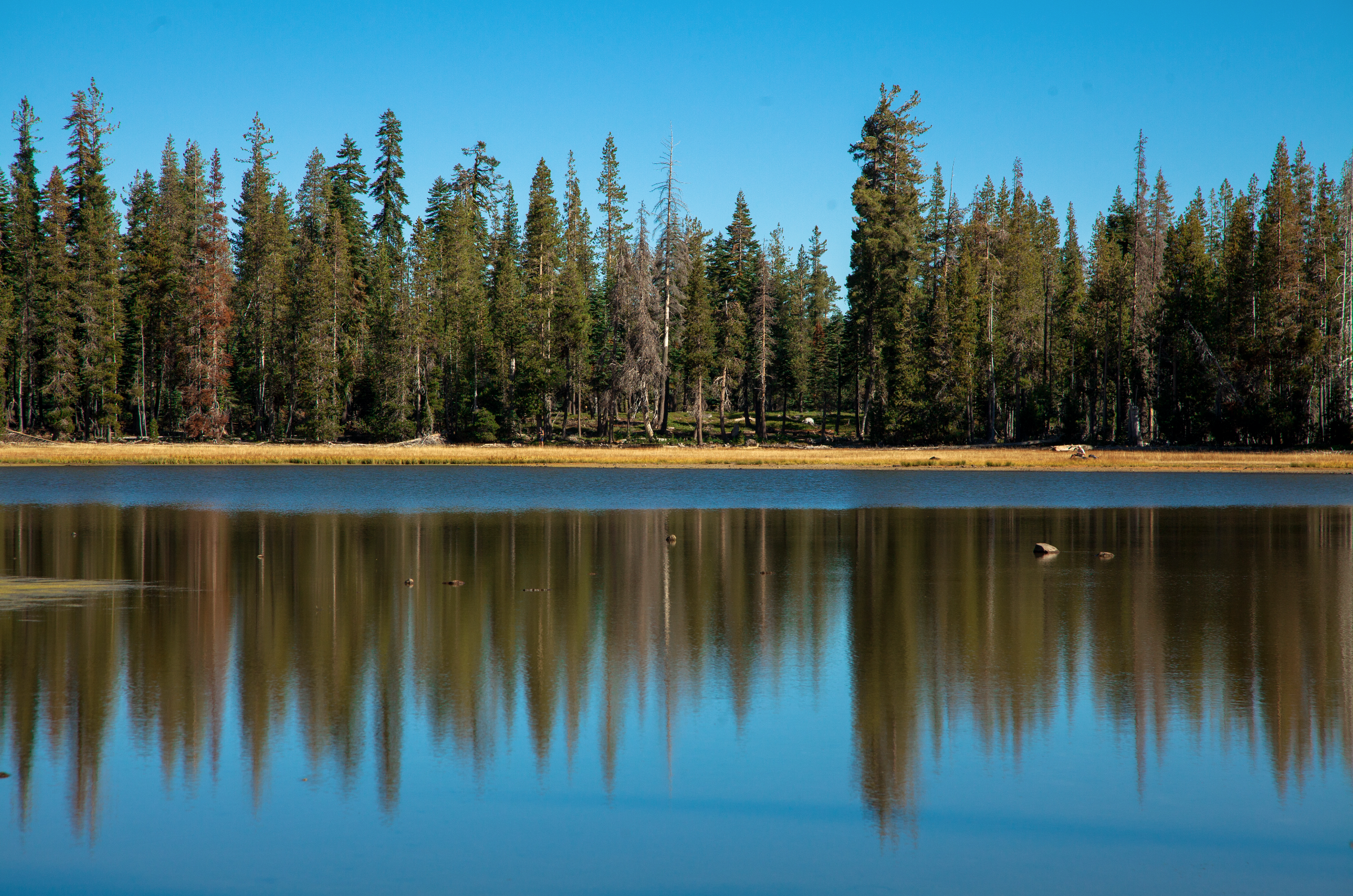 Drake Lake Trail