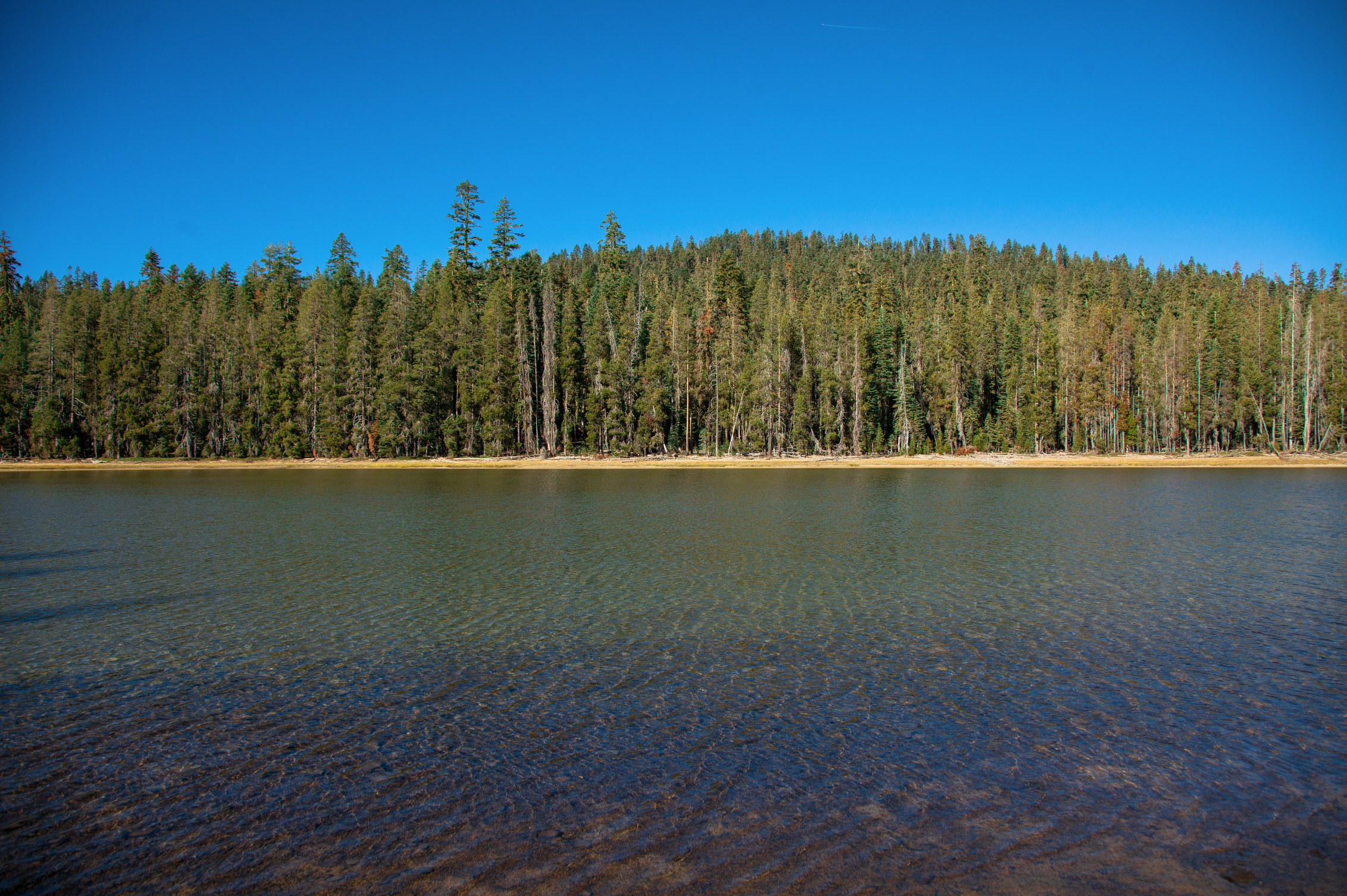 Drake Lake Trail