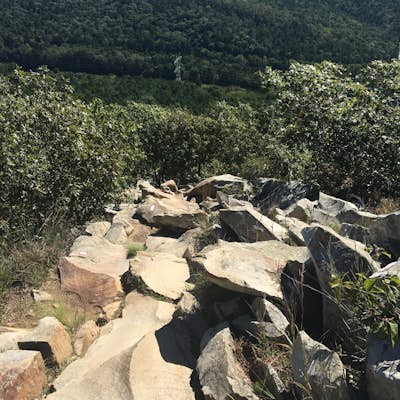 Hike the Pinnacle Mountain East Summit Trail