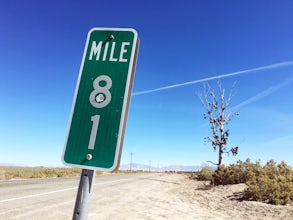 Photograph the Highway 50 Shoe Tree 
