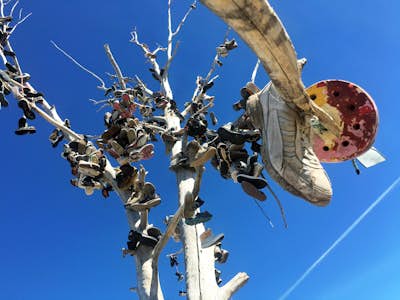 Photograph the Highway 50 Shoe Tree 