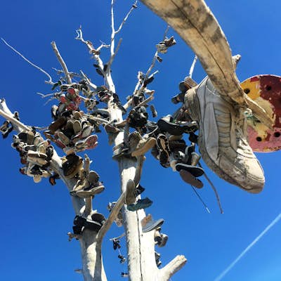 Photograph the Highway 50 Shoe Tree 