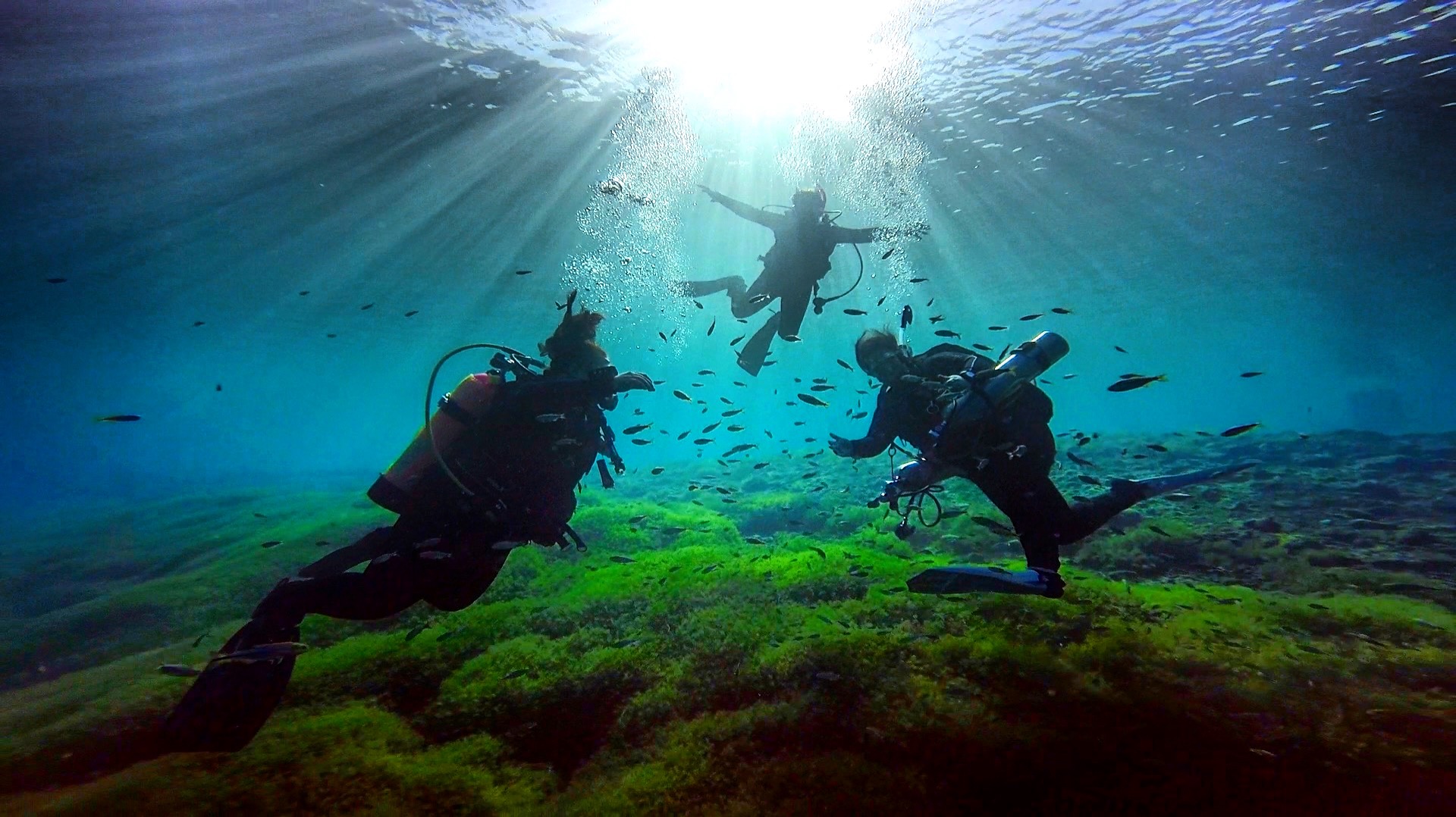 garmin vivoactive 3 scuba diving