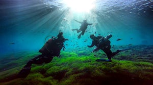 Scuba Dive Balmorhea State Park 