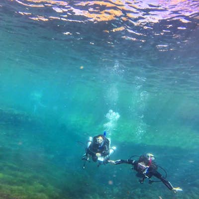 Scuba Dive Balmorhea State Park 