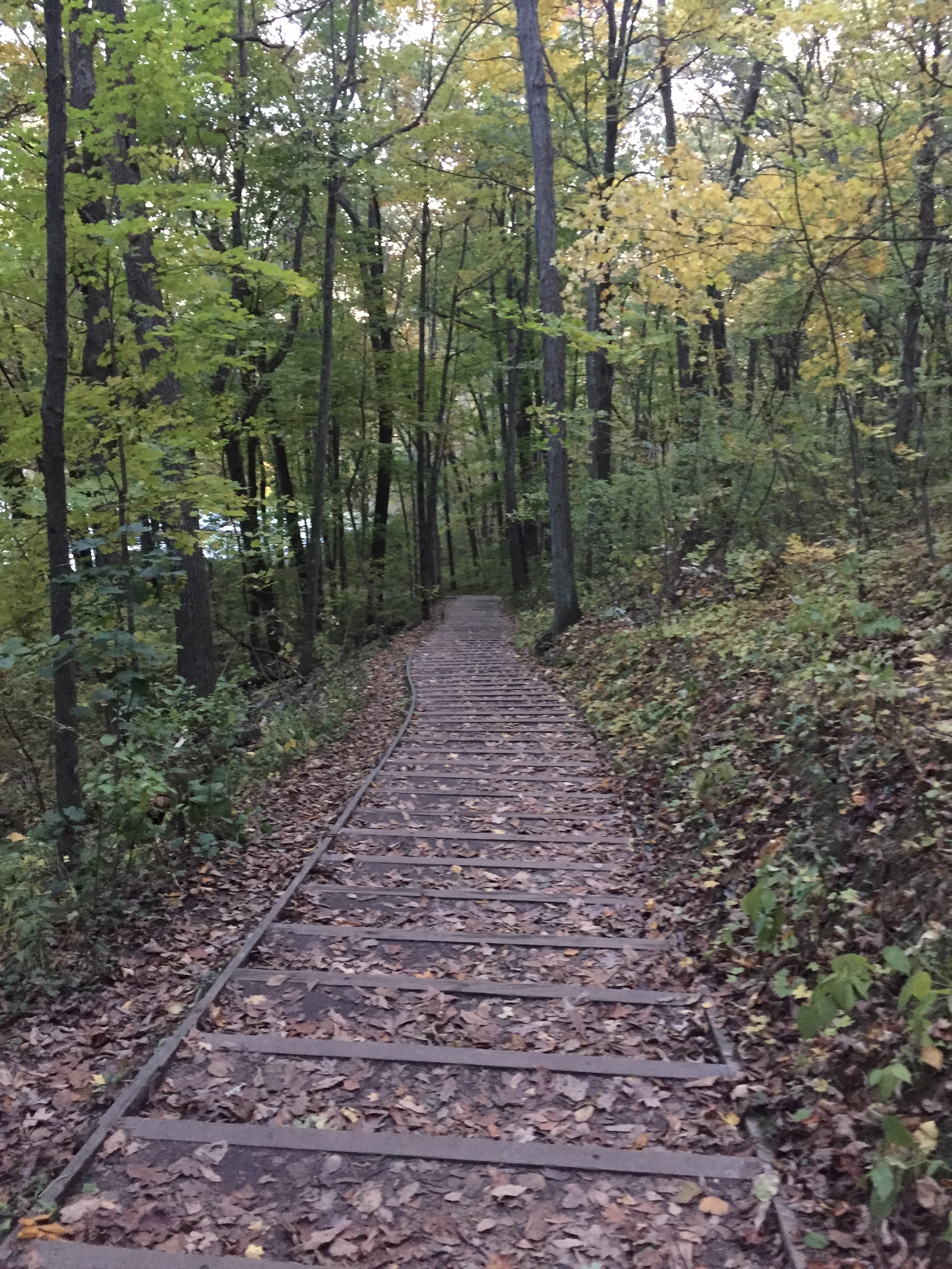 Visit the Parnell Observation Tower, Adell, Wisconsin