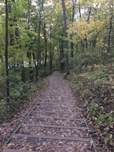 Visit the Parnell Observation Tower