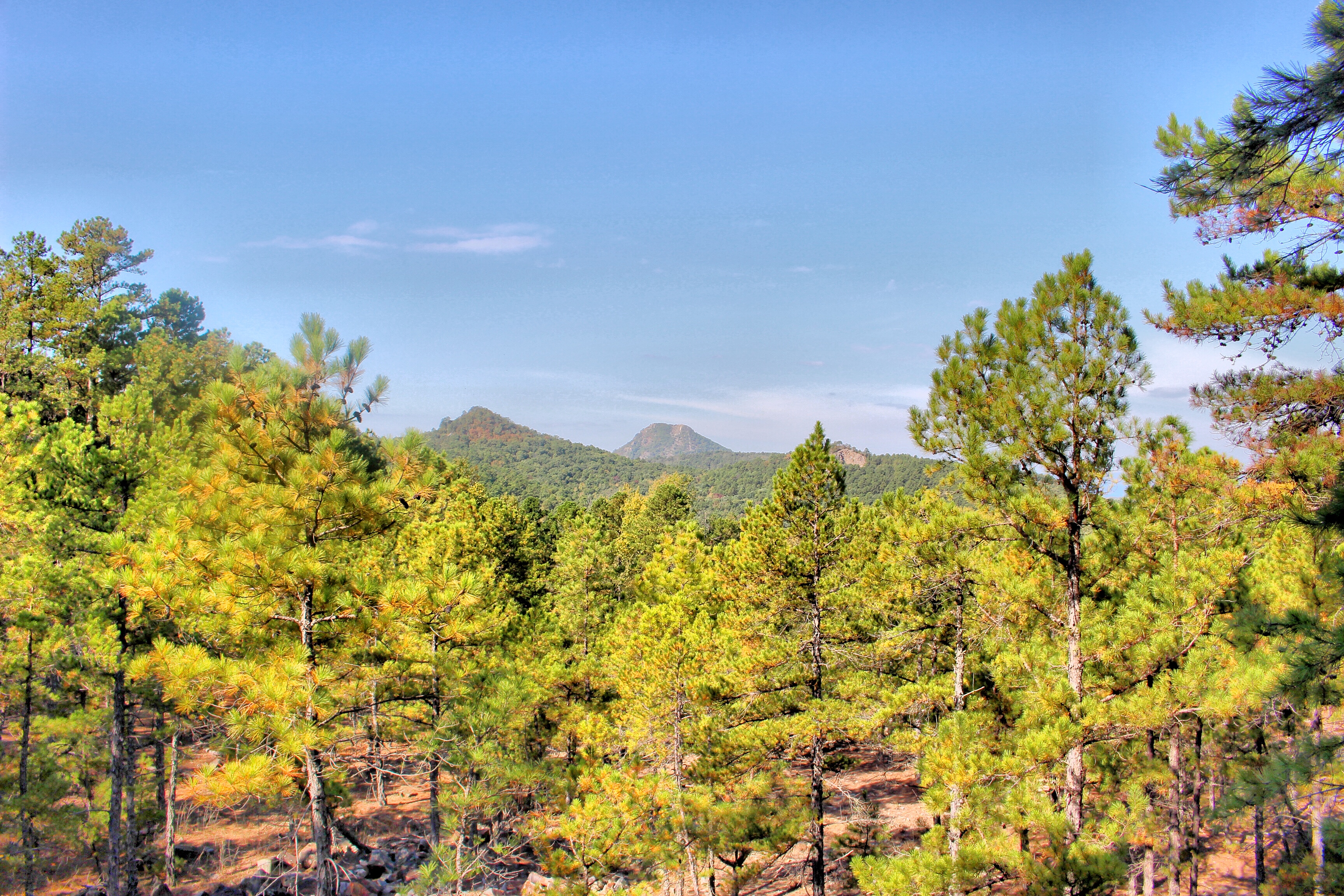 Hike The Rock Valley & East Quarry Trail, Pinnacle Mountain SP
