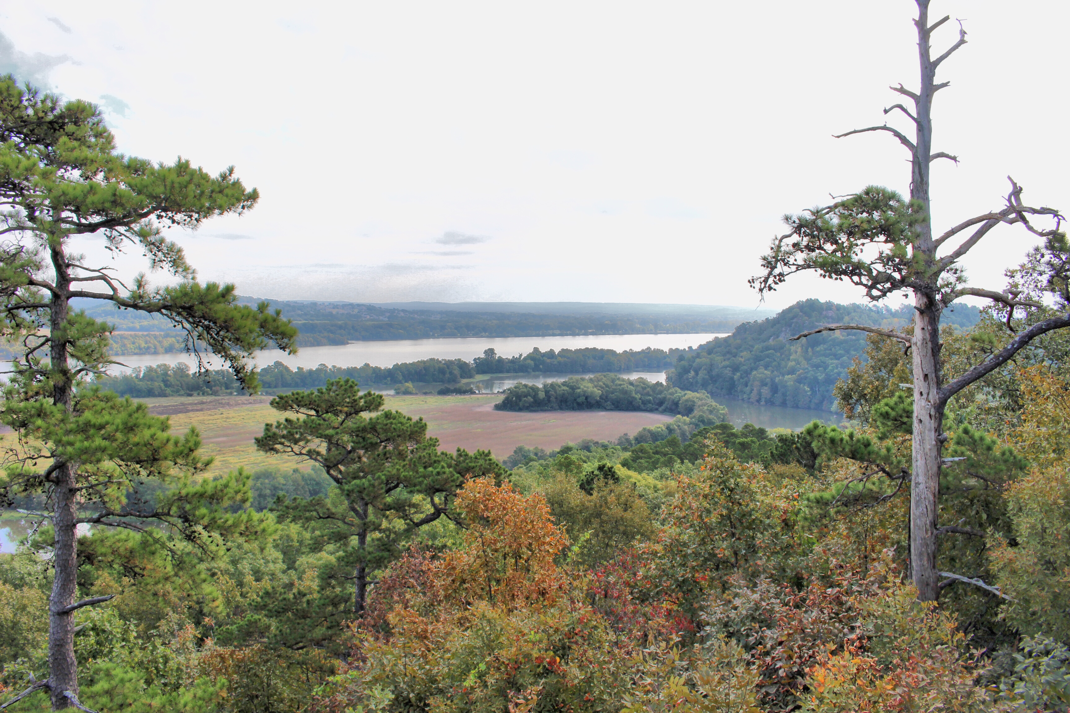 Hike The Rock Valley & East Quarry Trail, Pinnacle Mountain SP