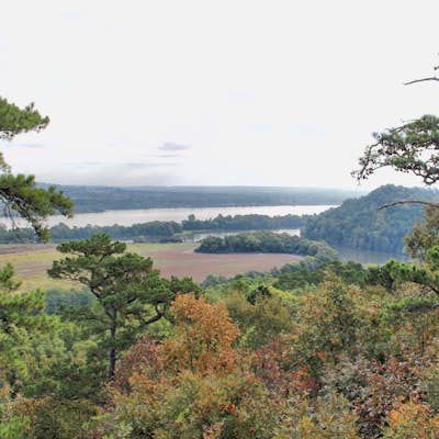Hike The Rock Valley & East Quarry Trail, Pinnacle Mountain SP