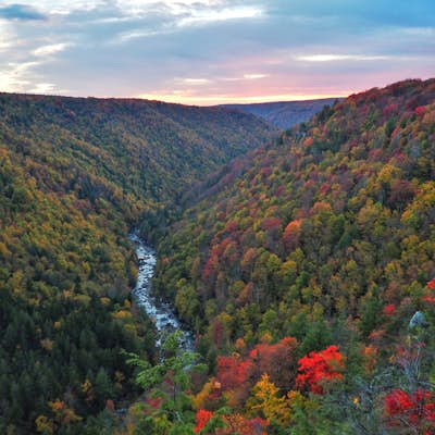Take in the View at Pendleton Point Overlook in Blackwater Falls SP