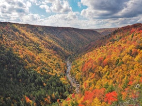 Take in the View at Pendleton Point Overlook in Blackwater Falls SP