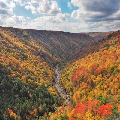 Take in the View at Pendleton Point Overlook in Blackwater Falls SP