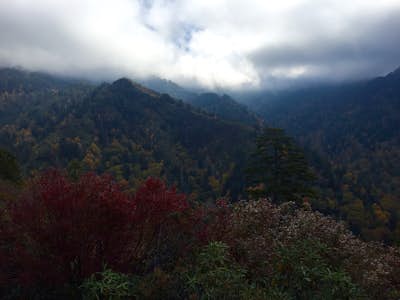 Hike to Mt. LeConte