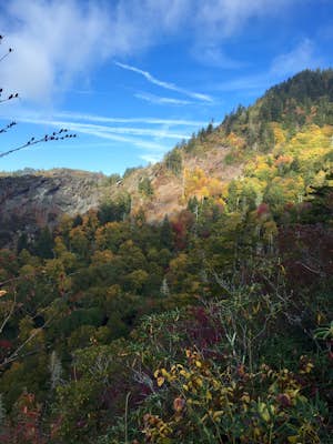 Hike to Mt. LeConte