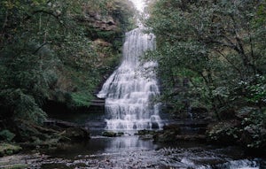 Hike to Carmac Falls