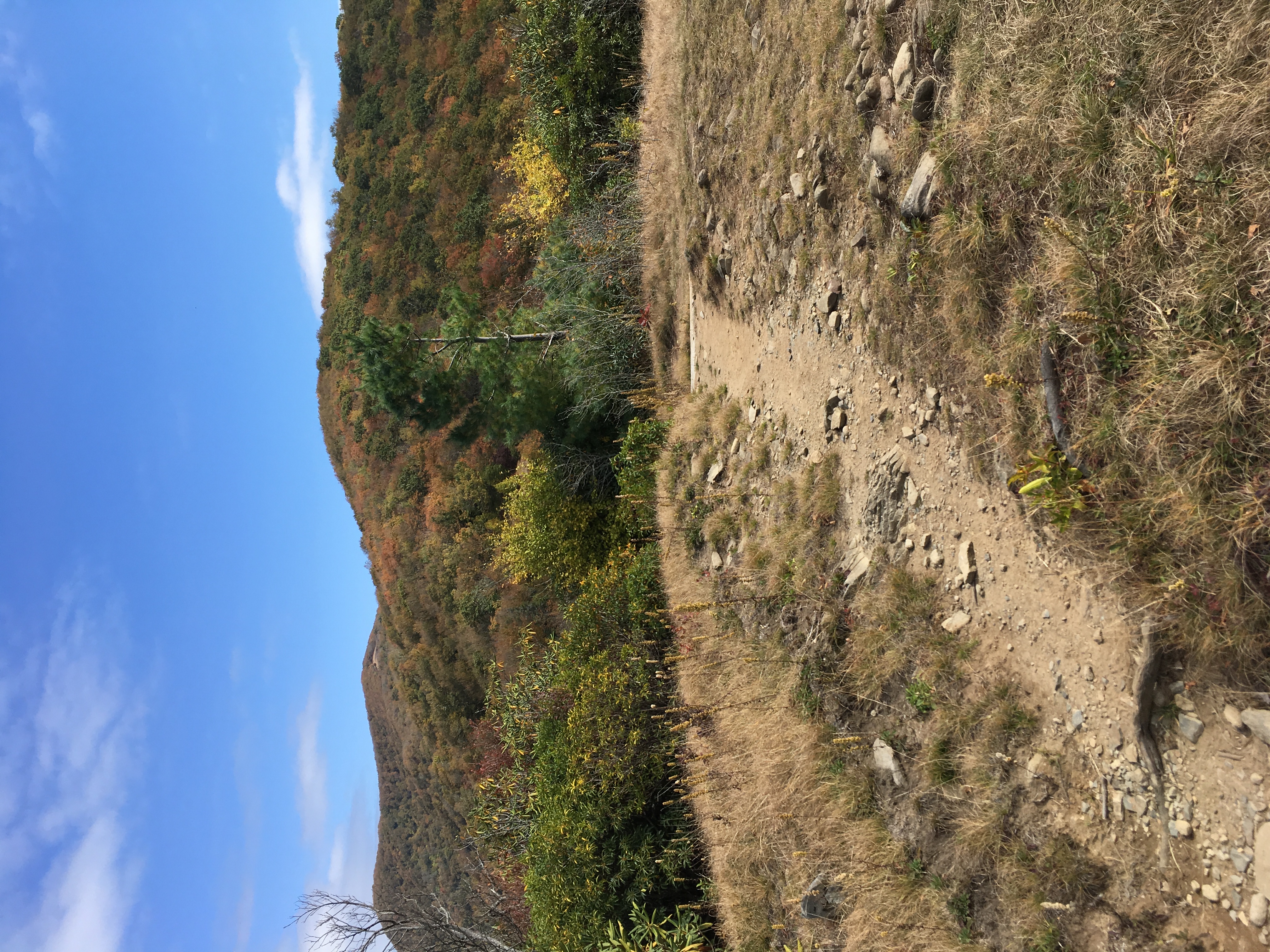 Rocky Top