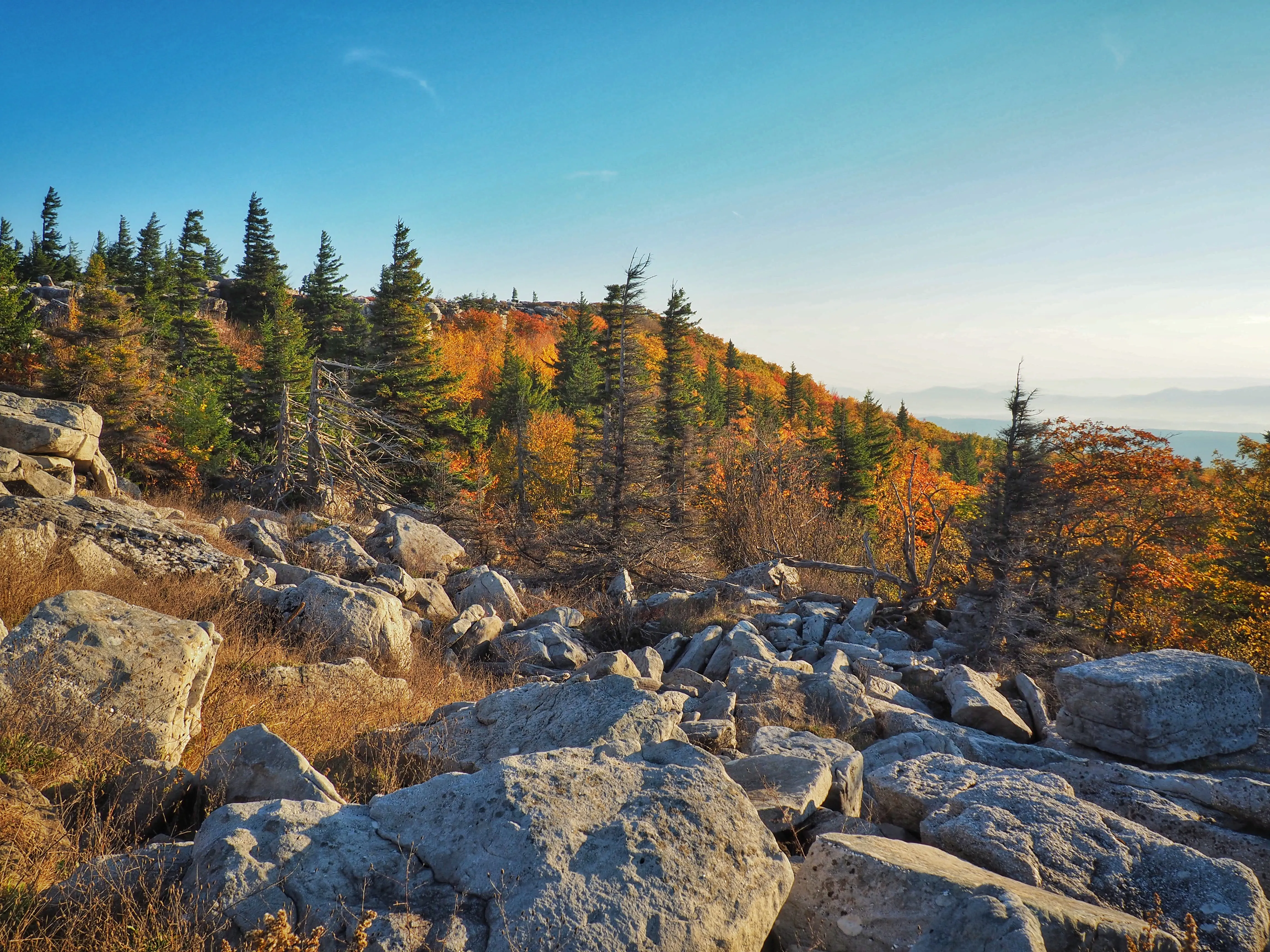 Photograph Bear Rocks Preserve