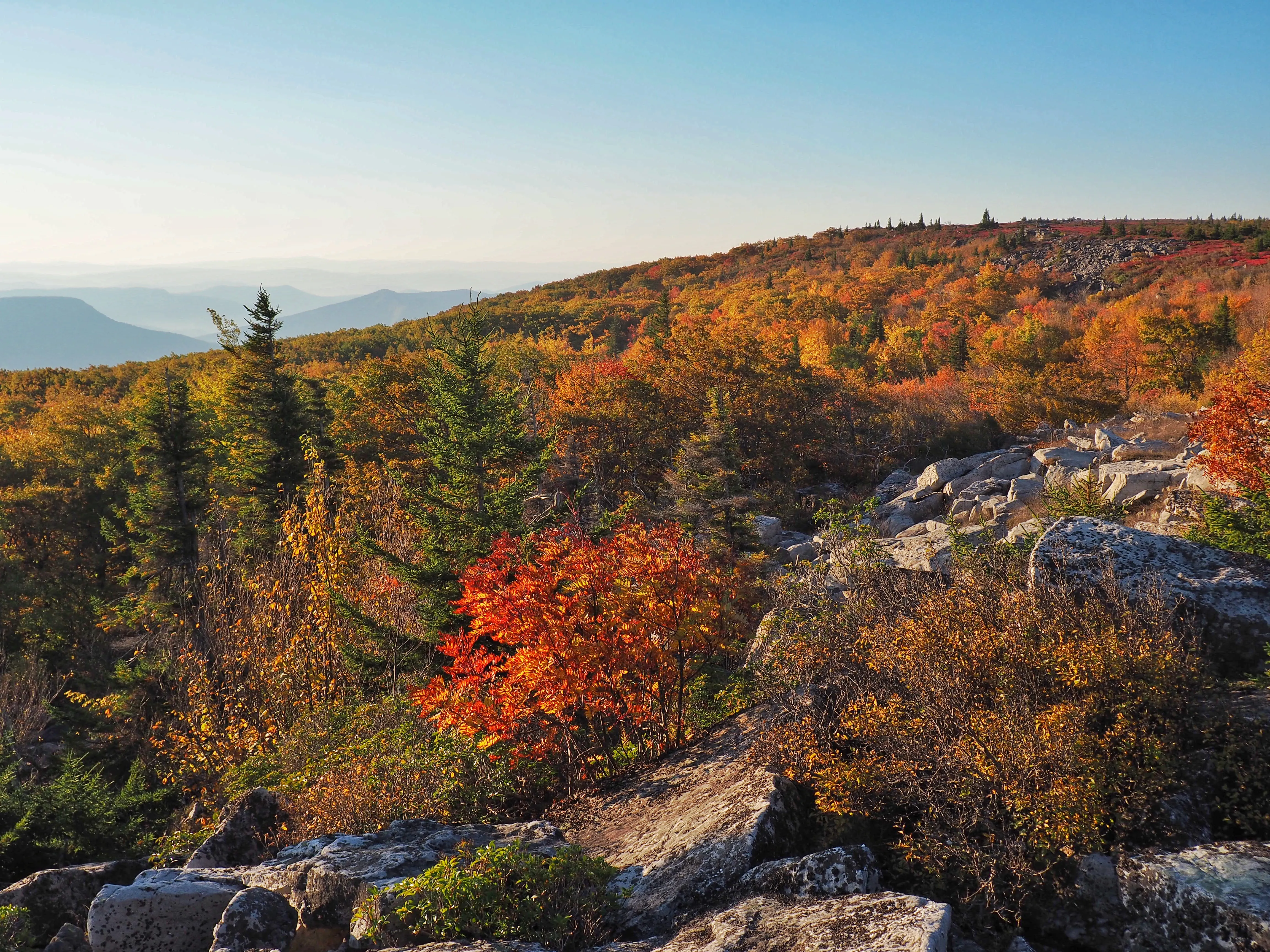 Photograph Bear Rocks Preserve