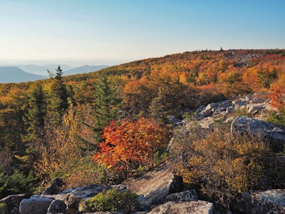 Photograph Bear Rocks Preserve, Bear Rocks Preserve