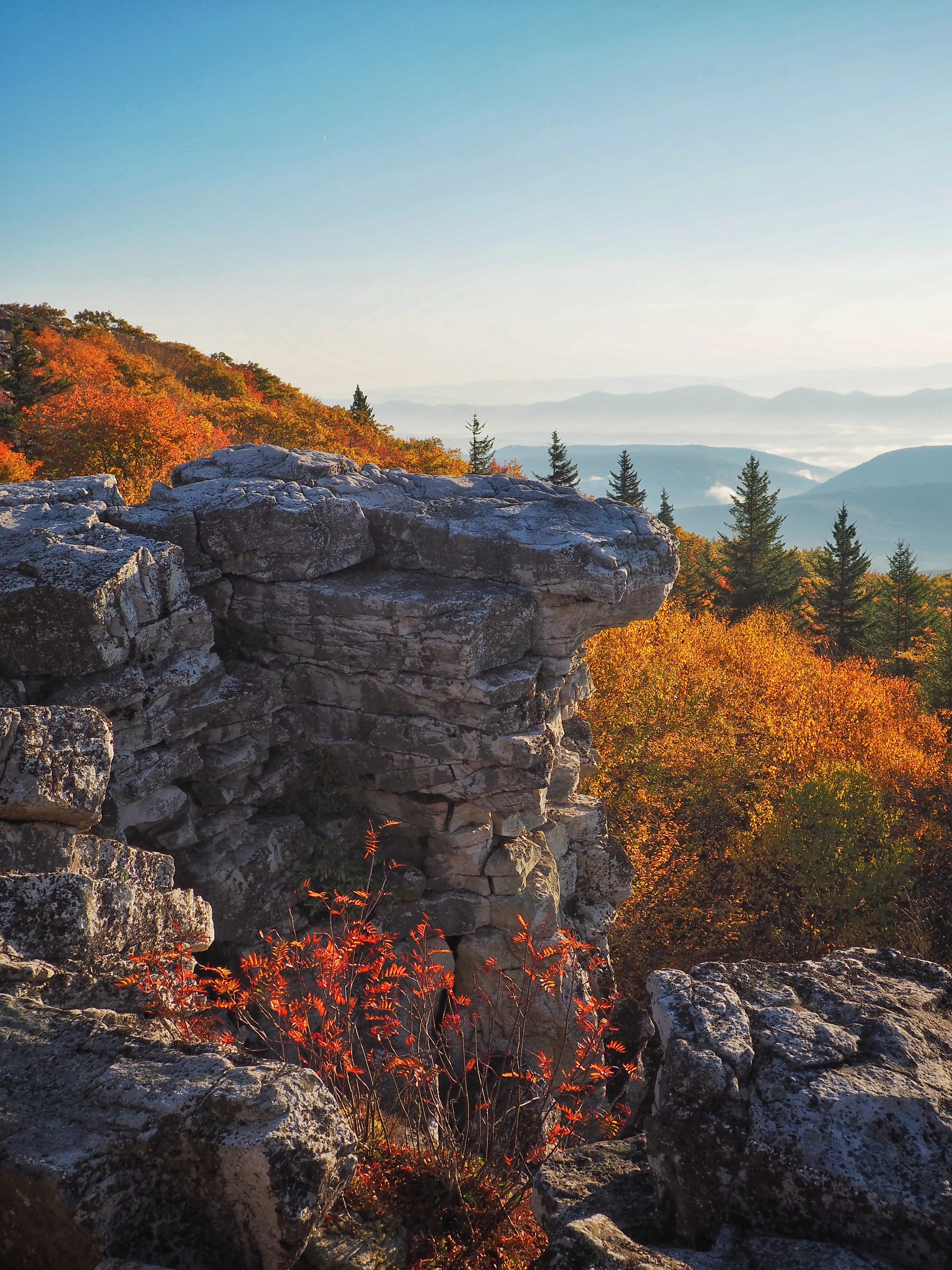 Photograph Bear Rocks Preserve