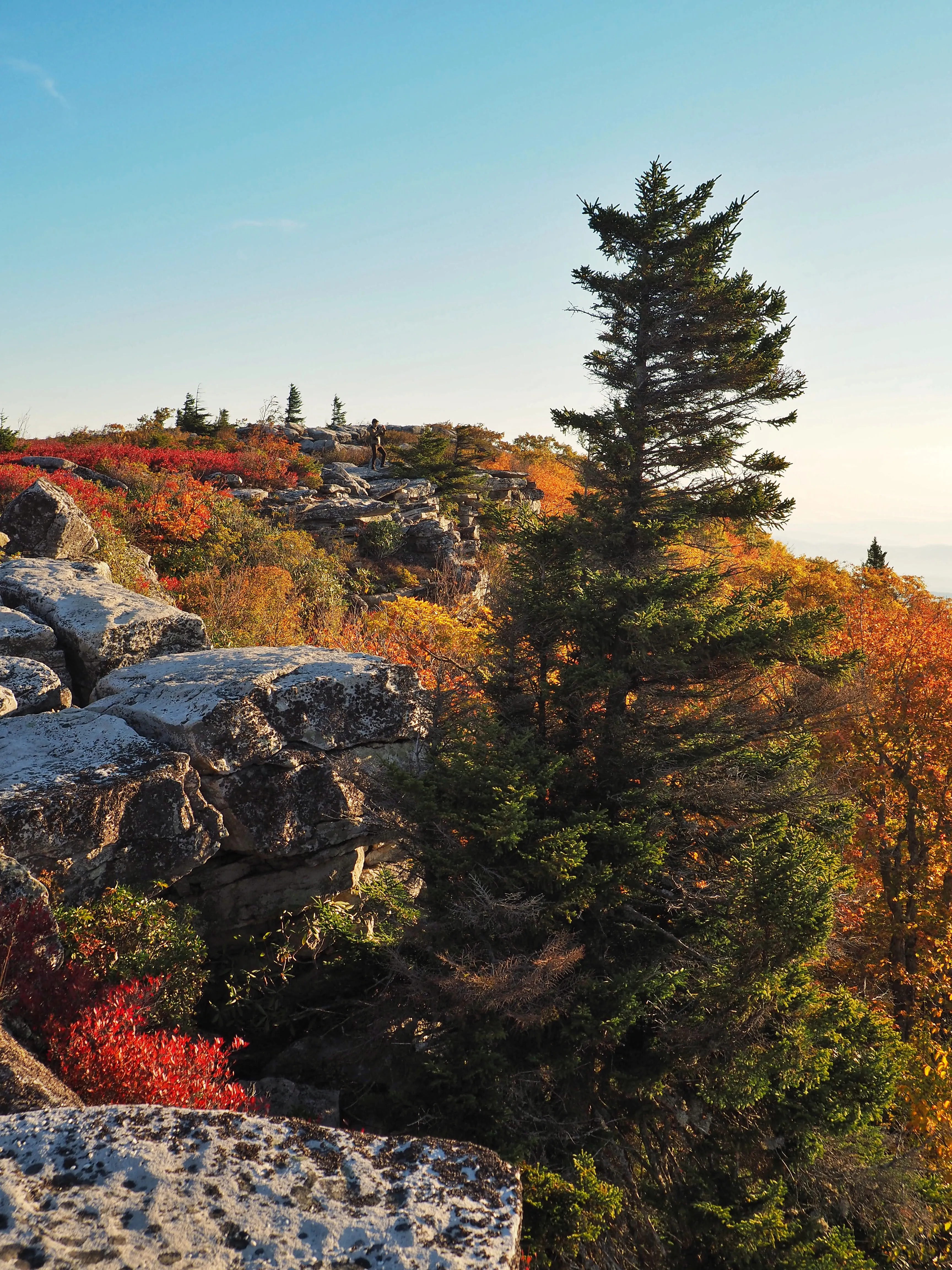 Photograph Bear Rocks Preserve