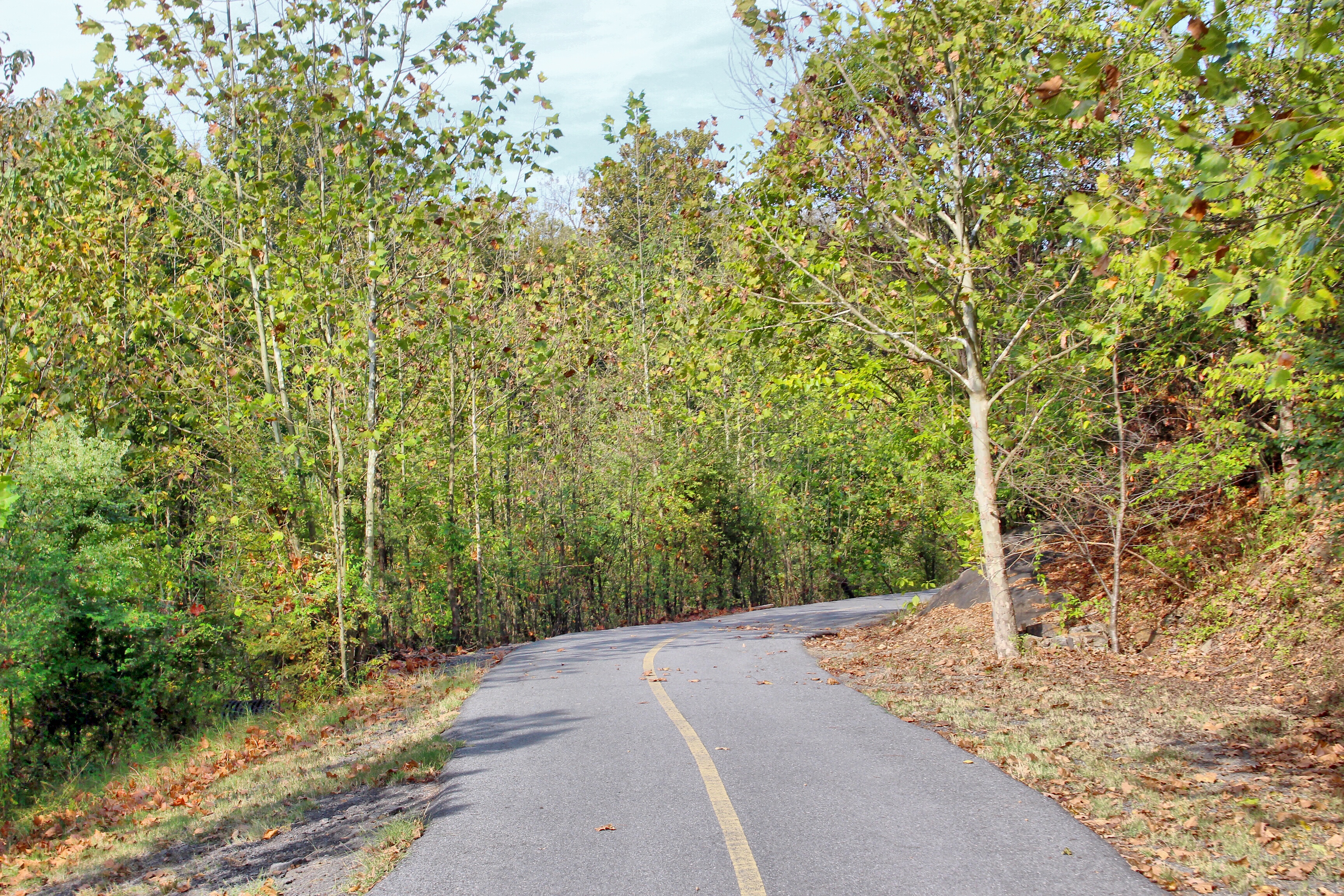 Bike the Arkansas River Trail Bridges Loop