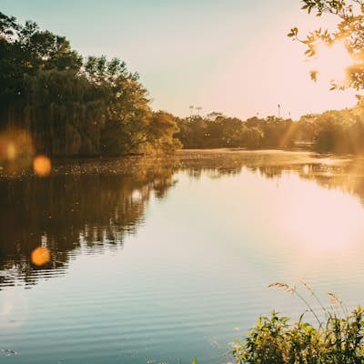 Take a Stroll around the Lagoon at Wilson Park