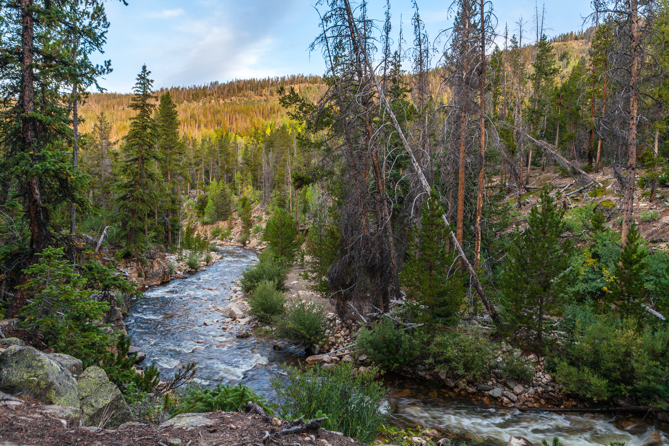Camp up Murdock Basin Road