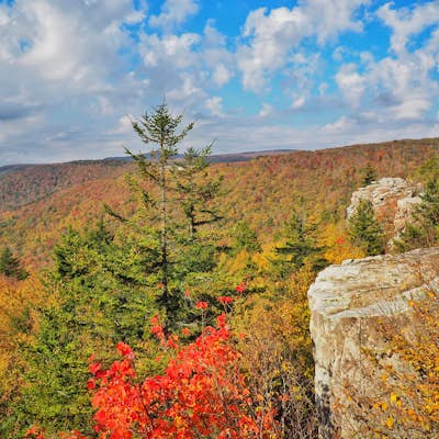 Hike to Rohrbaugh Cliffs in Dolly Sods