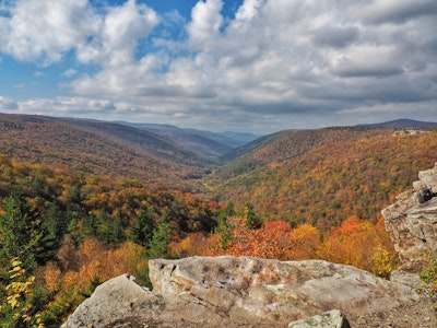 Hike to Rohrbaugh Cliffs in Dolly Sods, Rohrbaugh Plains Trailhead