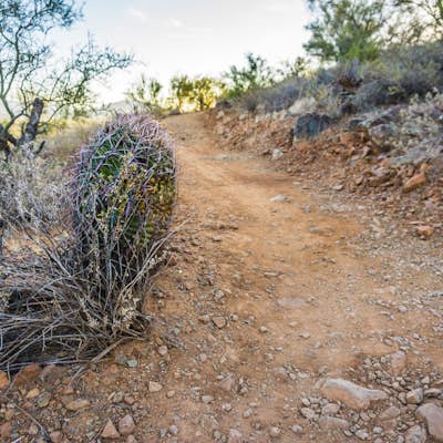 Hike the Apache Wash Loop Trail