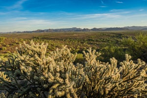 Hike the Apache Wash Loop Trail