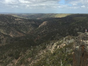 Hike to Falcon's Lookout and the Ingliston Granites