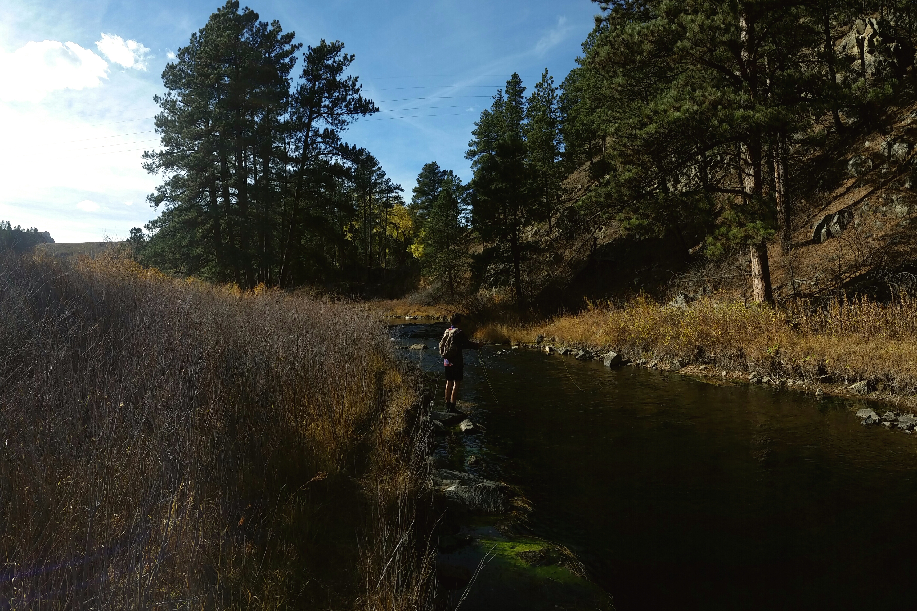 Fly Fish from the Rapid Creek Trailhead