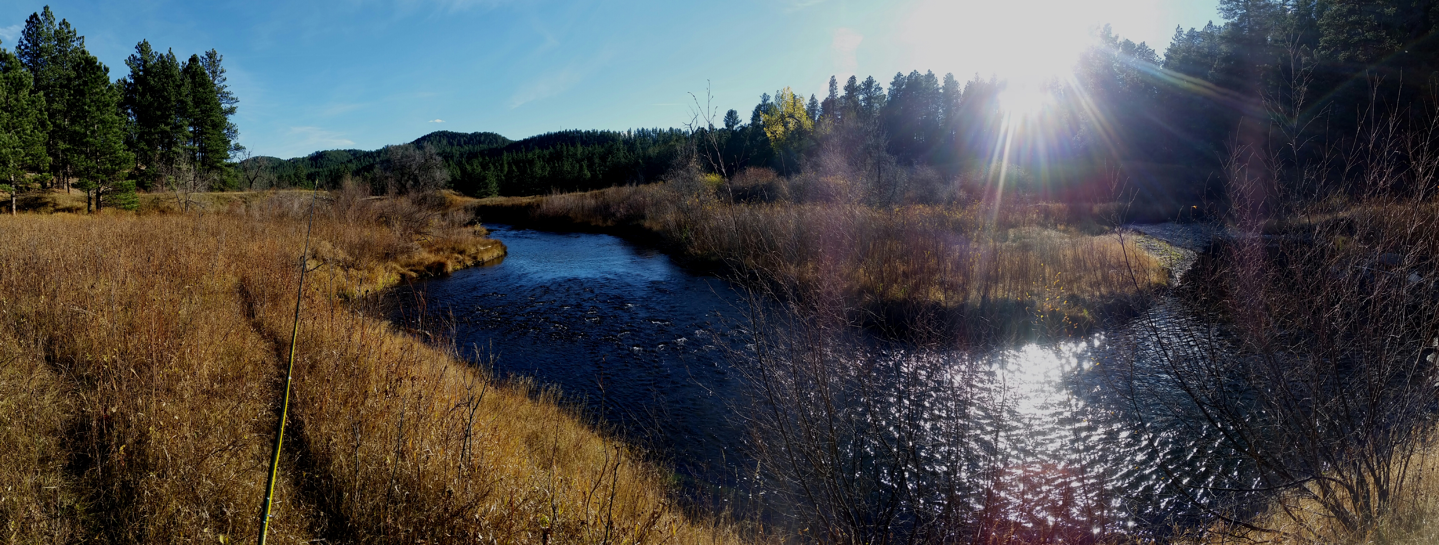Fly Fish from the Rapid Creek Trailhead
