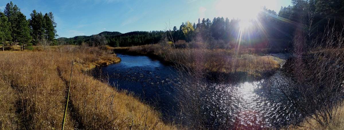 Fly Fish from the Rapid Creek Trailhead, South Dakota