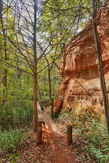 Hike the California Road Nature Trail Loop