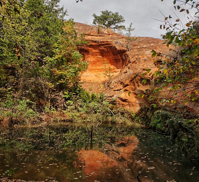 Hike the California Road Nature Trail Loop